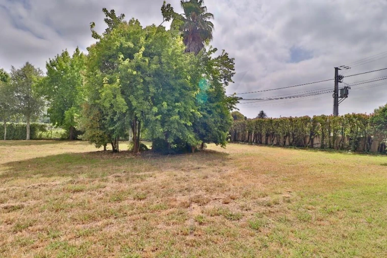 Moradia T4 para Venda em Alvarães Foto 33