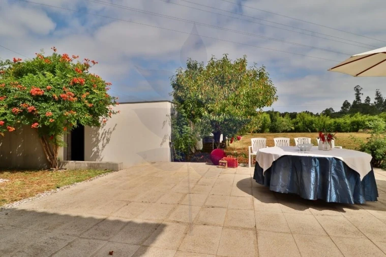 Moradia T4 para Venda em Alvarães Foto 32