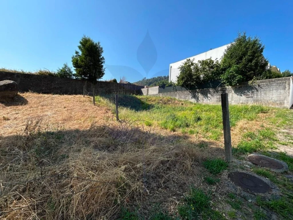 Terreno para Venda em Este (São Pedro e São Mamede) Foto 8