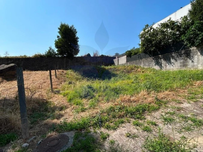Terreno para Venda em Este (São Pedro e São Mamede) Foto 10