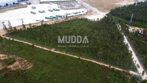 Terreno para Venda em Albergaria-A-Velha e Valmaior