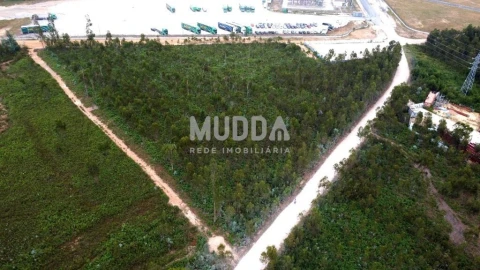 Terreno para Venda em Albergaria-A-Velha e Valmaior