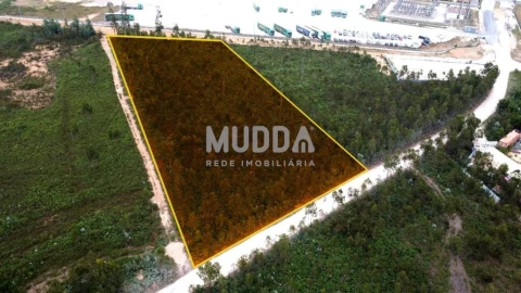 Terreno para Venda em Albergaria-A-Velha e Valmaior