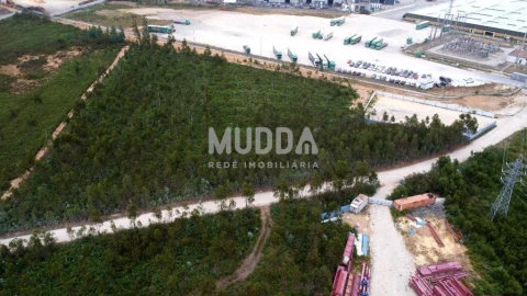 Terreno para Venda em Albergaria-A-Velha e Valmaior