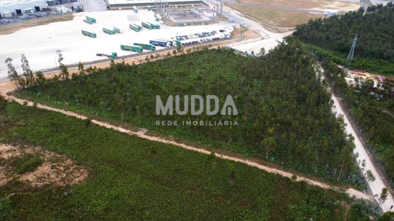 Terreno para Venda em Albergaria-A-Velha e Valmaior Foto 7