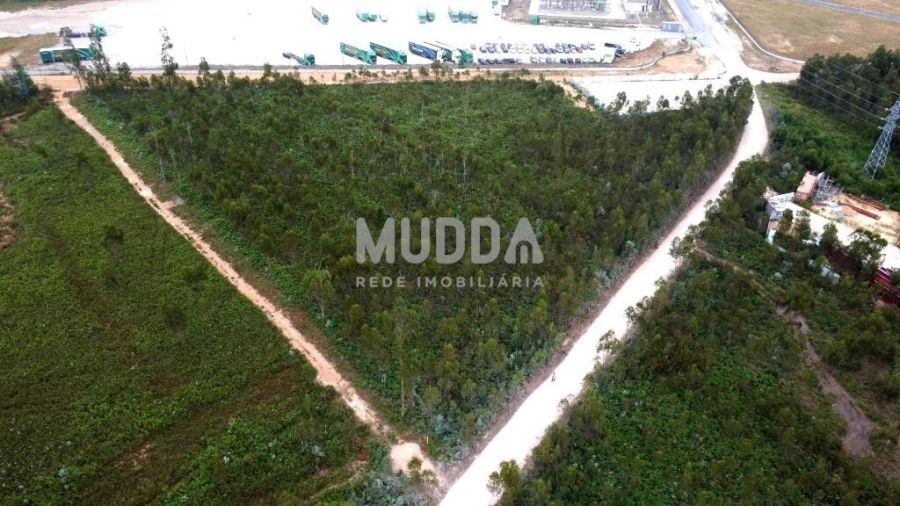 Terreno para Venda em Albergaria-A-Velha e Valmaior Foto 3