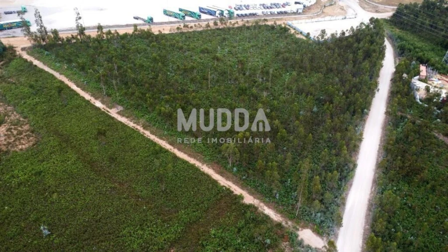Terreno para Venda em Albergaria-A-Velha e Valmaior Foto 6
