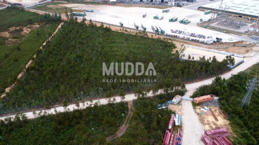 Terreno para Venda em Albergaria-A-Velha e Valmaior Foto 5