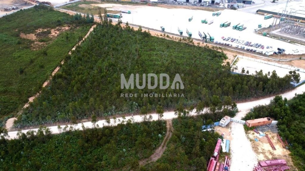 Terreno para Venda em Albergaria-A-Velha e Valmaior Foto 4