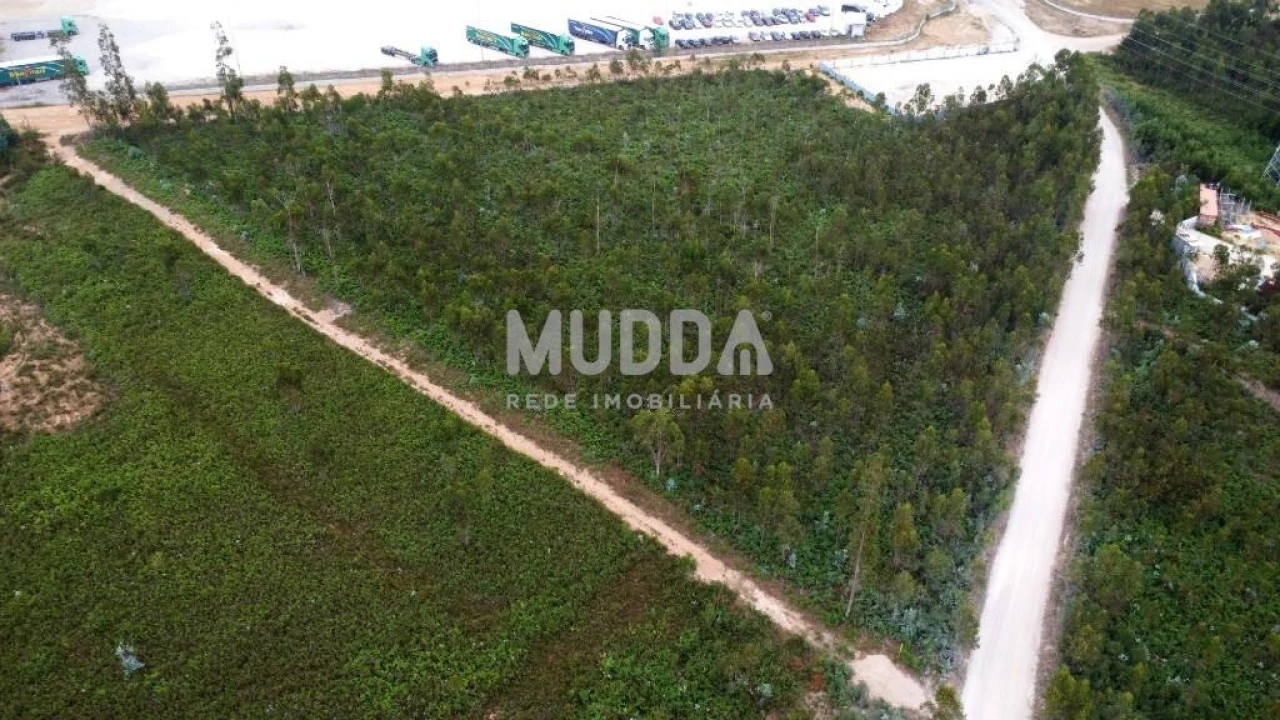 Terreno para Venda em Albergaria-A-Velha e Valmaior Foto 6