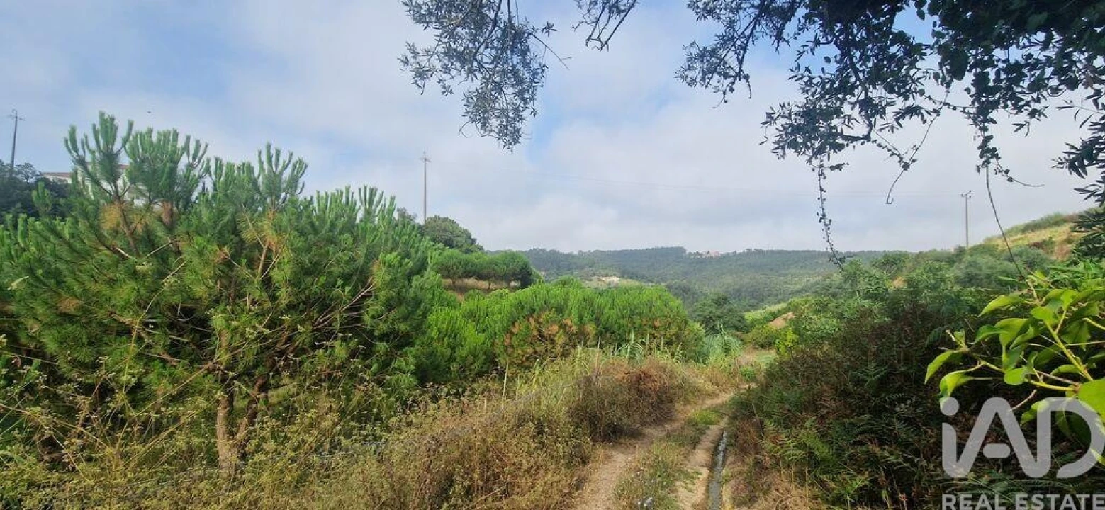 Terreno para Venda em Azueira e Sobral da Abelheira Foto 8