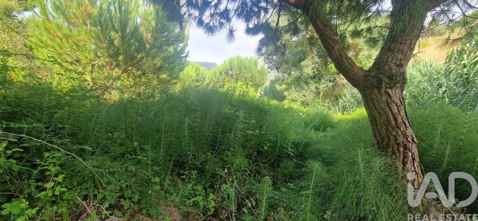 Terreno para Venda em Azueira e Sobral da Abelheira Foto 2