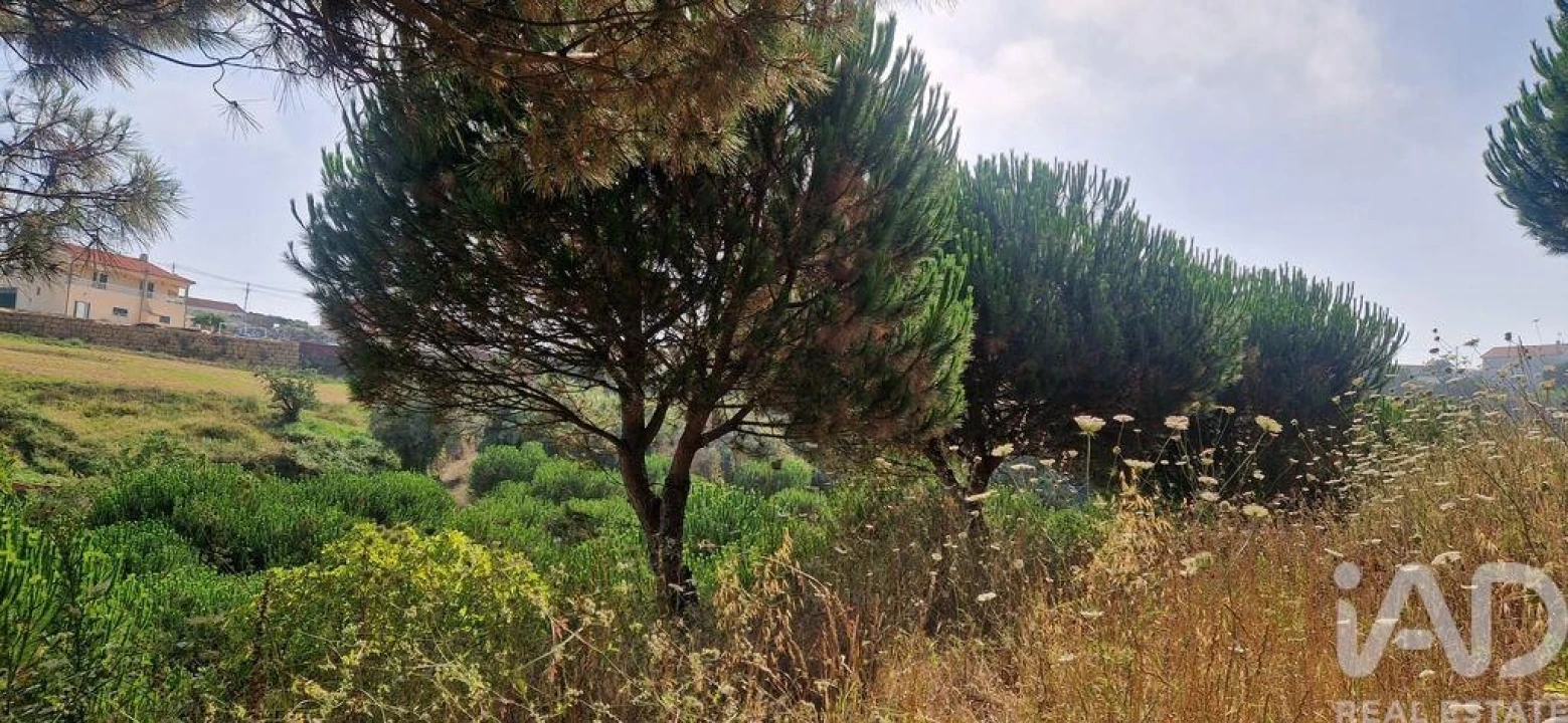 Terreno para Venda em Azueira e Sobral da Abelheira Foto 33