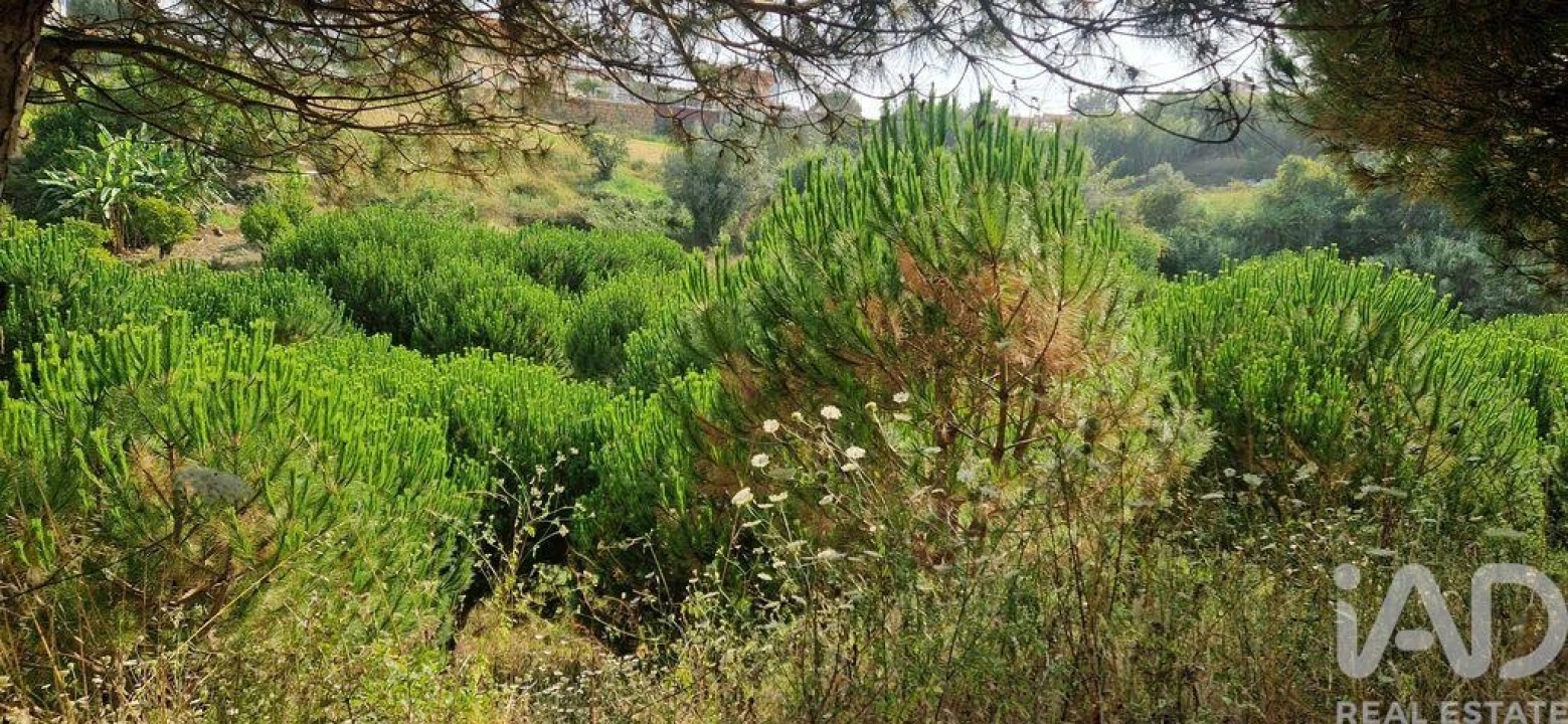 Terreno para Venda em Azueira e Sobral da Abelheira Foto 31