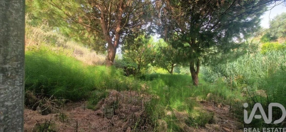 Terreno para Venda em Azueira e Sobral da Abelheira