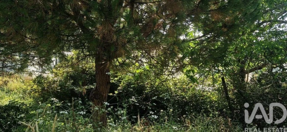 Terreno para Venda em Azueira e Sobral da Abelheira
