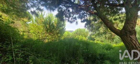 Terreno para Venda em Azueira e Sobral da Abelheira