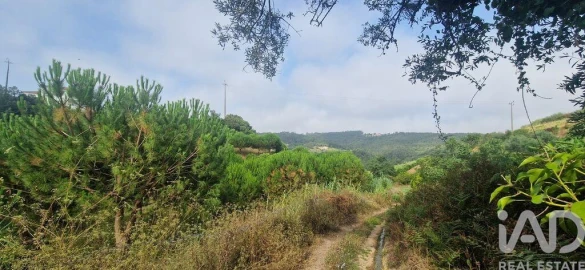 Terreno para Venda em Azueira e Sobral da Abelheira