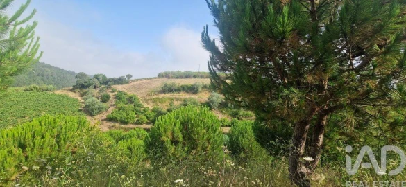 Terreno para Venda em Azueira e Sobral da Abelheira