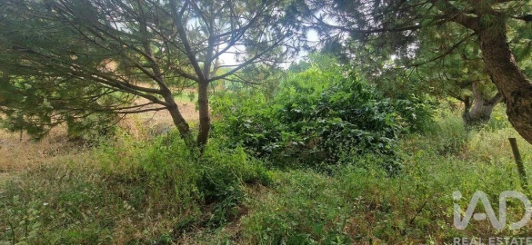 Terreno para Venda em Azueira e Sobral da Abelheira