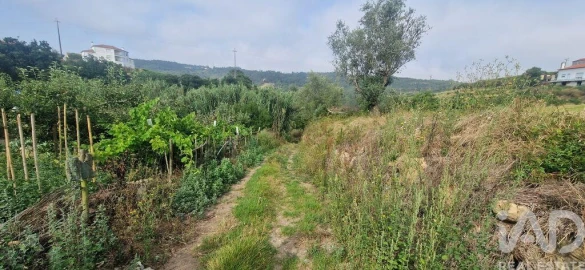Terreno para Venda em Azueira e Sobral da Abelheira