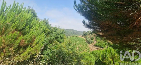 Terreno para Venda em Azueira e Sobral da Abelheira