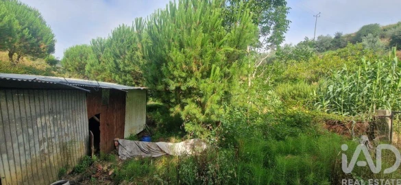 Terreno para Venda em Azueira e Sobral da Abelheira