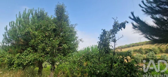 Terreno para Venda em Azueira e Sobral da Abelheira