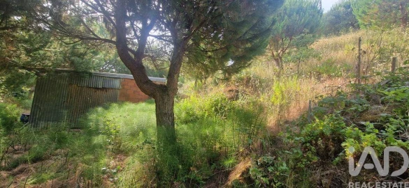Terreno para Venda em Azueira e Sobral da Abelheira