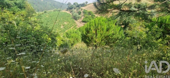 Terreno para Venda em Azueira e Sobral da Abelheira