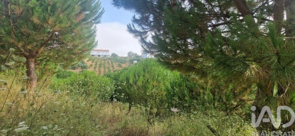 Terreno para Venda em Azueira e Sobral da Abelheira