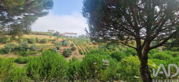 Terreno para Venda em Azueira e Sobral da Abelheira