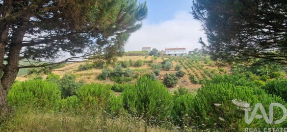 Terreno para Venda em Azueira e Sobral da Abelheira