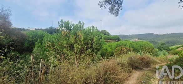 Terreno para Venda em Azueira e Sobral da Abelheira