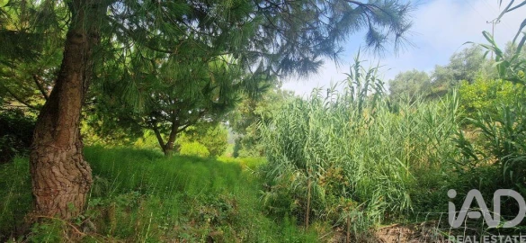 Terreno para Venda em Azueira e Sobral da Abelheira