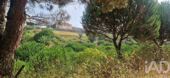 Terreno para Venda em Azueira e Sobral da Abelheira