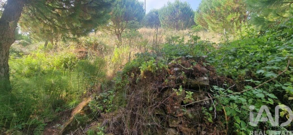 Terreno para Venda em Azueira e Sobral da Abelheira