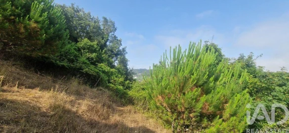 Terreno para Venda em Azueira e Sobral da Abelheira
