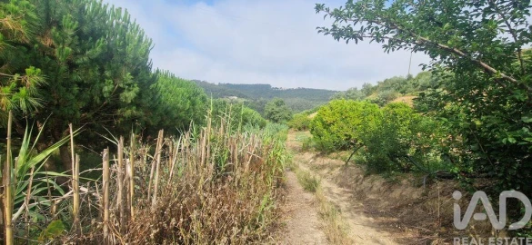 Terreno para Venda em Azueira e Sobral da Abelheira