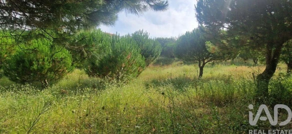 Terreno para Venda em Azueira e Sobral da Abelheira