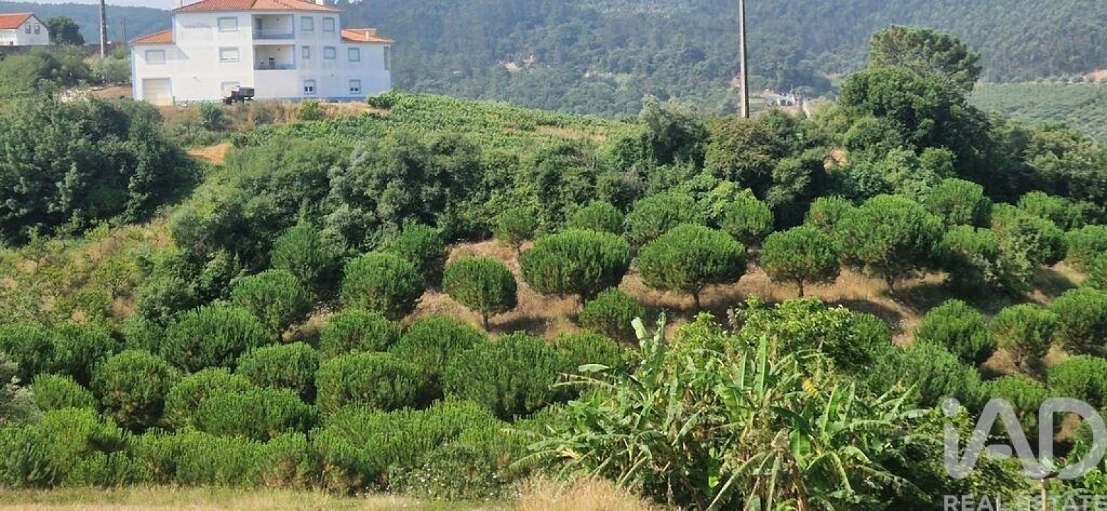 Terreno para Venda em Azueira e Sobral da Abelheira Foto 37