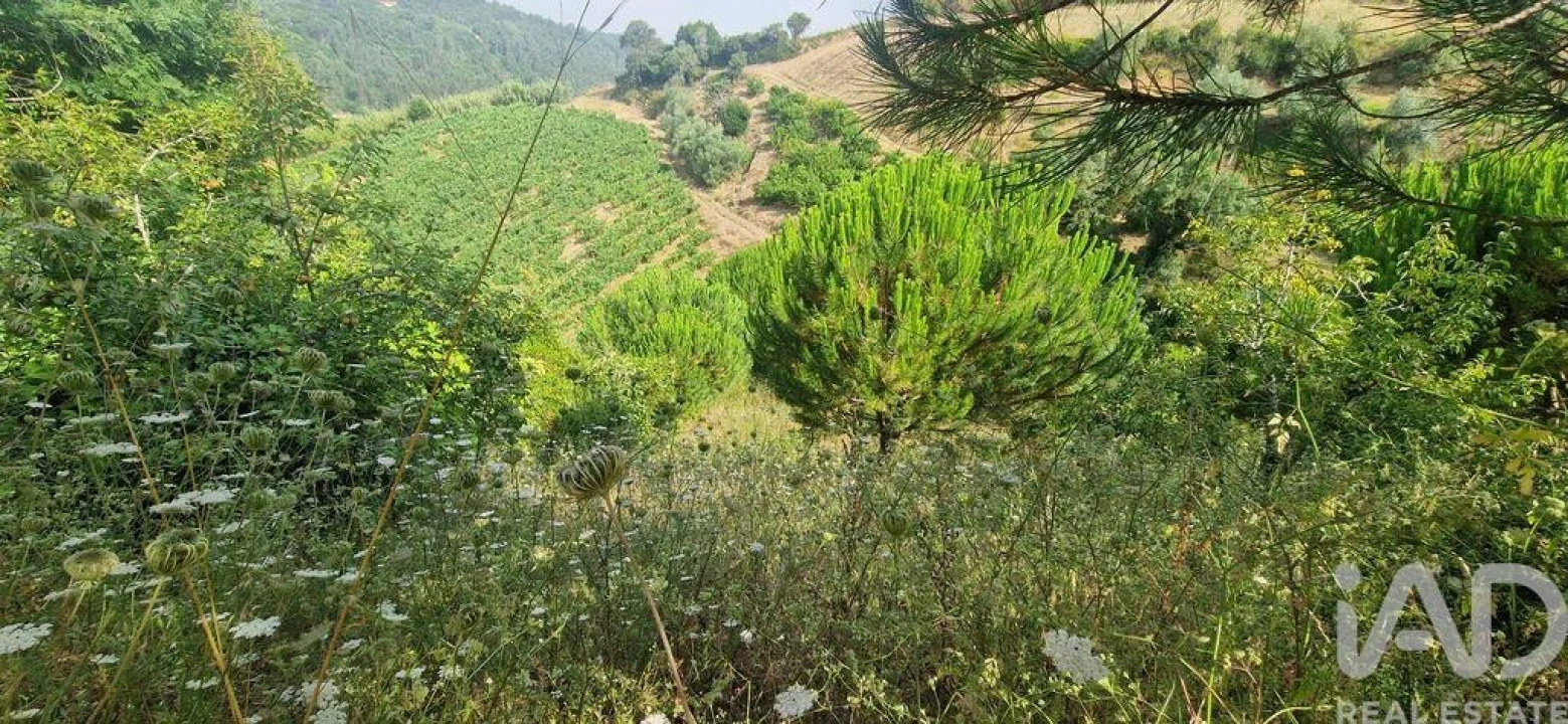 Terreno para Venda em Azueira e Sobral da Abelheira Foto 29