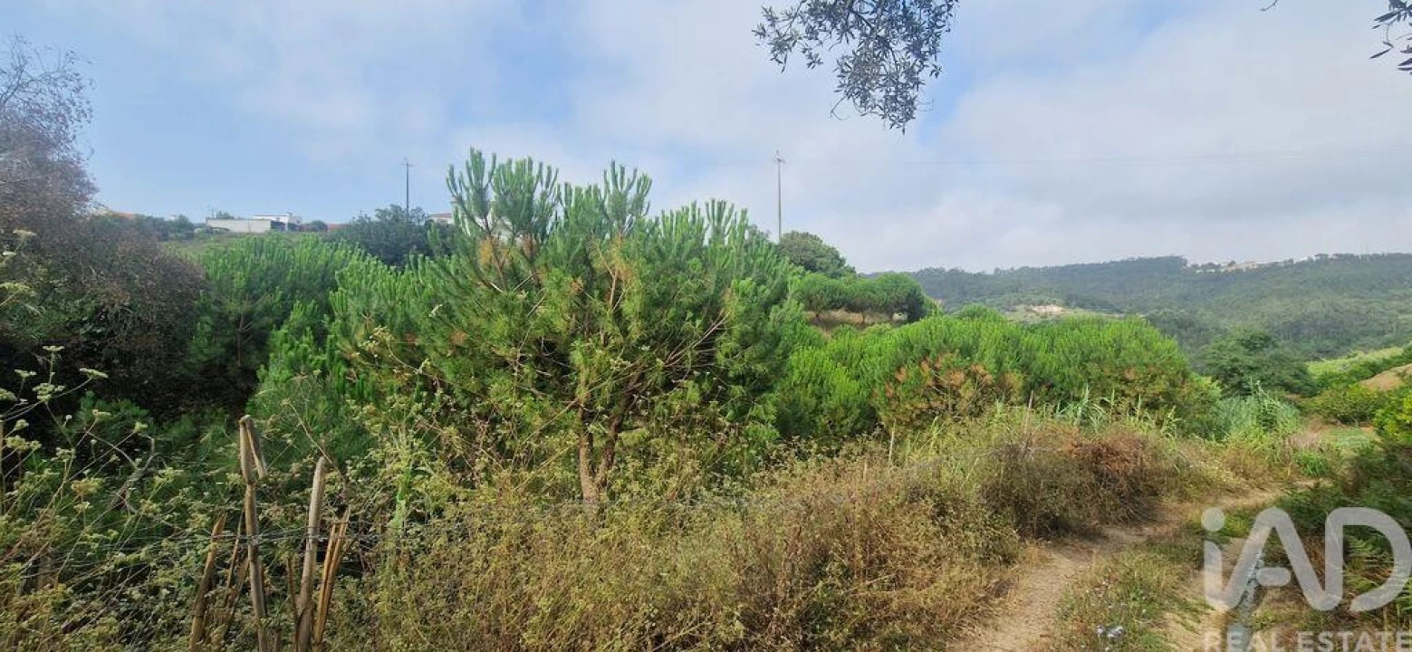 Terreno para Venda em Azueira e Sobral da Abelheira Foto 5