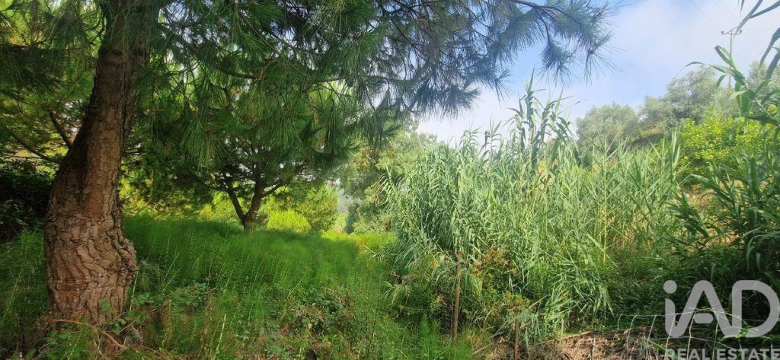 Terreno para Venda em Azueira e Sobral da Abelheira Foto 10