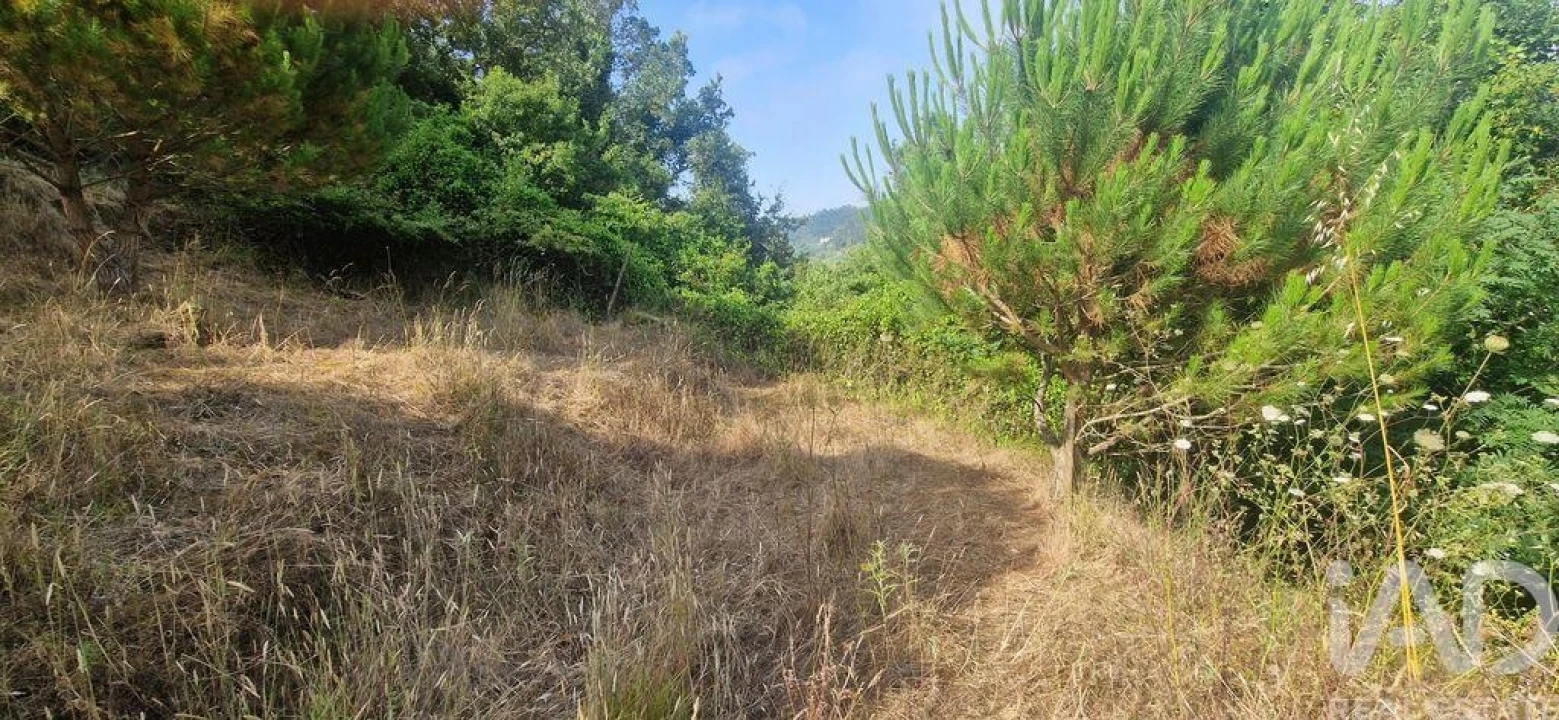Terreno para Venda em Azueira e Sobral da Abelheira Foto 30