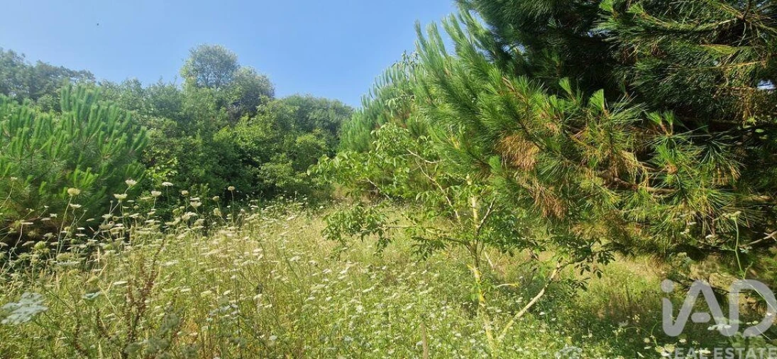 Terreno para Venda em Azueira e Sobral da Abelheira Foto 13