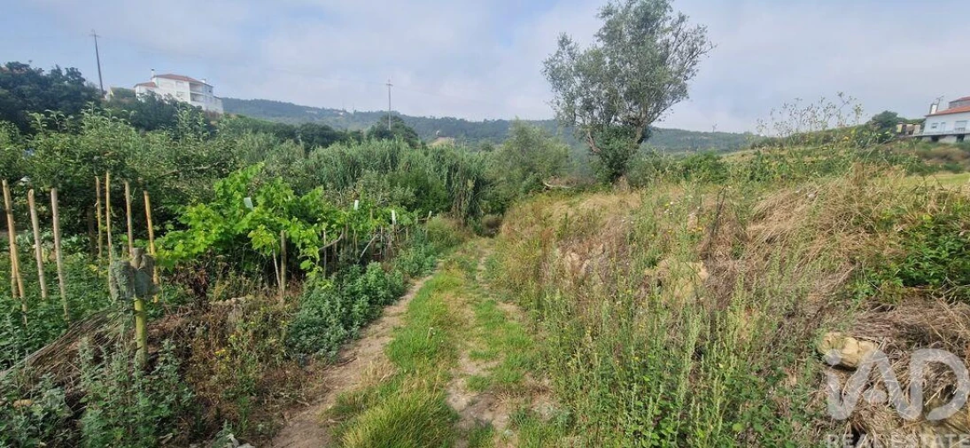 Terreno para Venda em Azueira e Sobral da Abelheira Foto 4