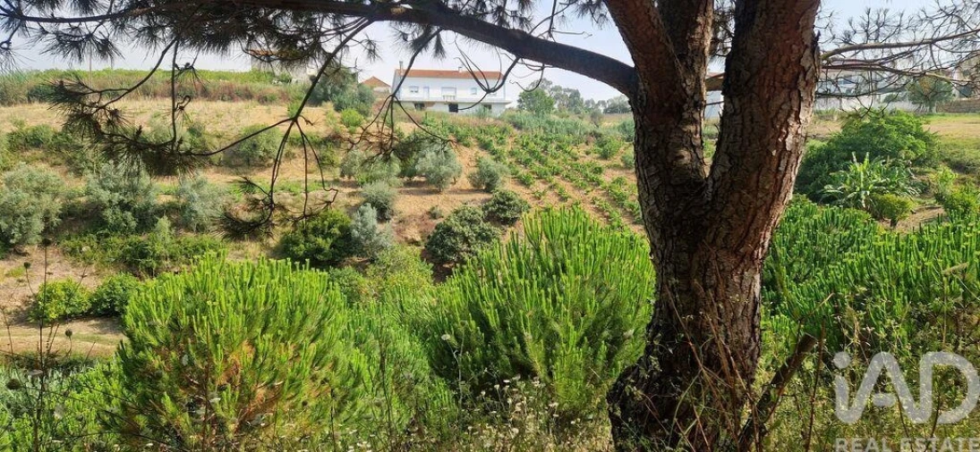 Terreno para Venda em Azueira e Sobral da Abelheira Foto 34