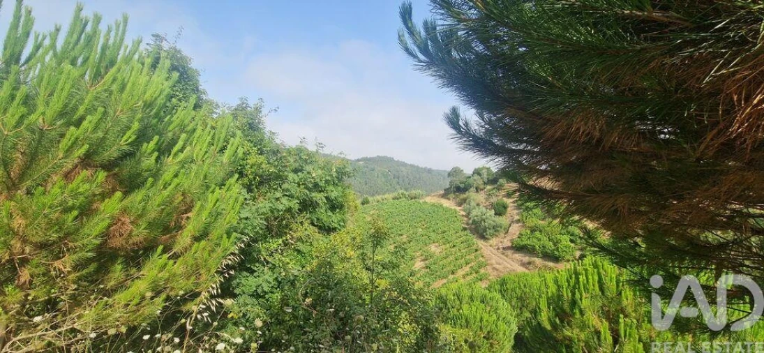 Terreno para Venda em Azueira e Sobral da Abelheira Foto 25