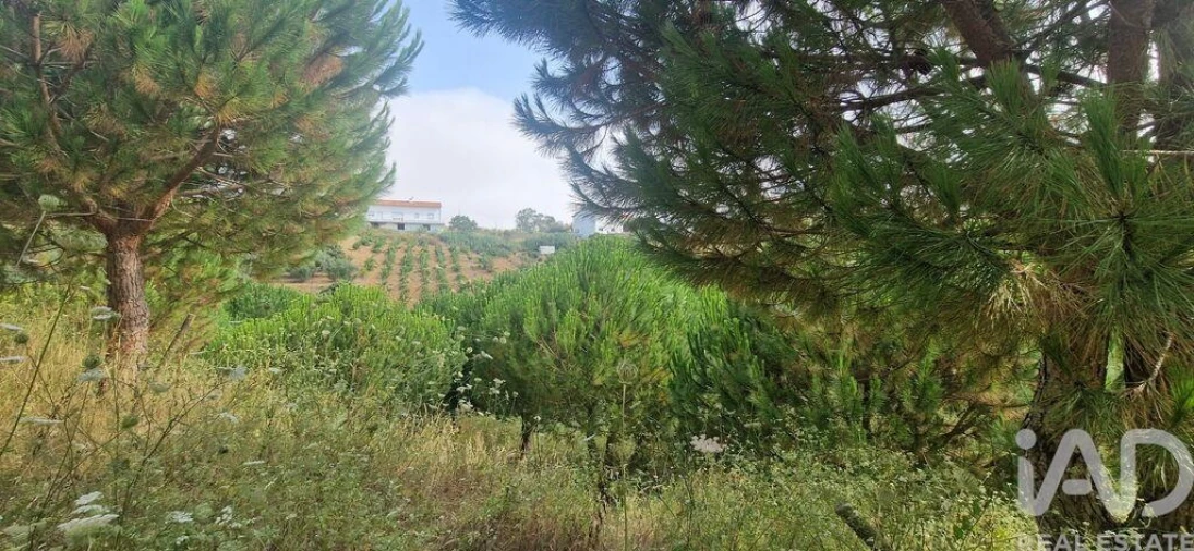 Terreno para Venda em Azueira e Sobral da Abelheira Foto 18